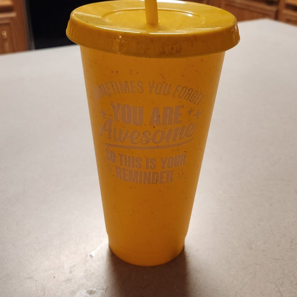 24 Oz. Plastic Tumbler with Lid